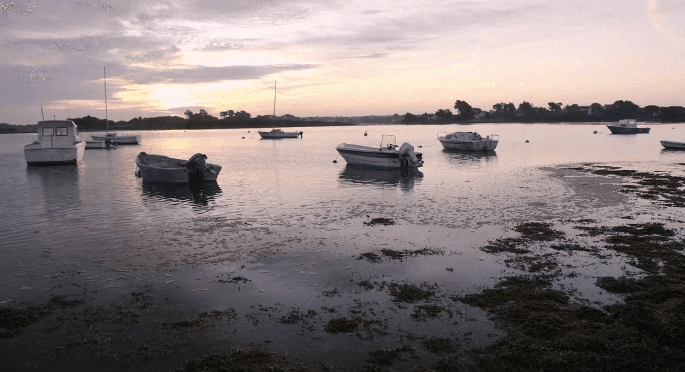 Rencontre avec Franck : l'histoire d'une reconversion au Camping Le Moulin des Oies