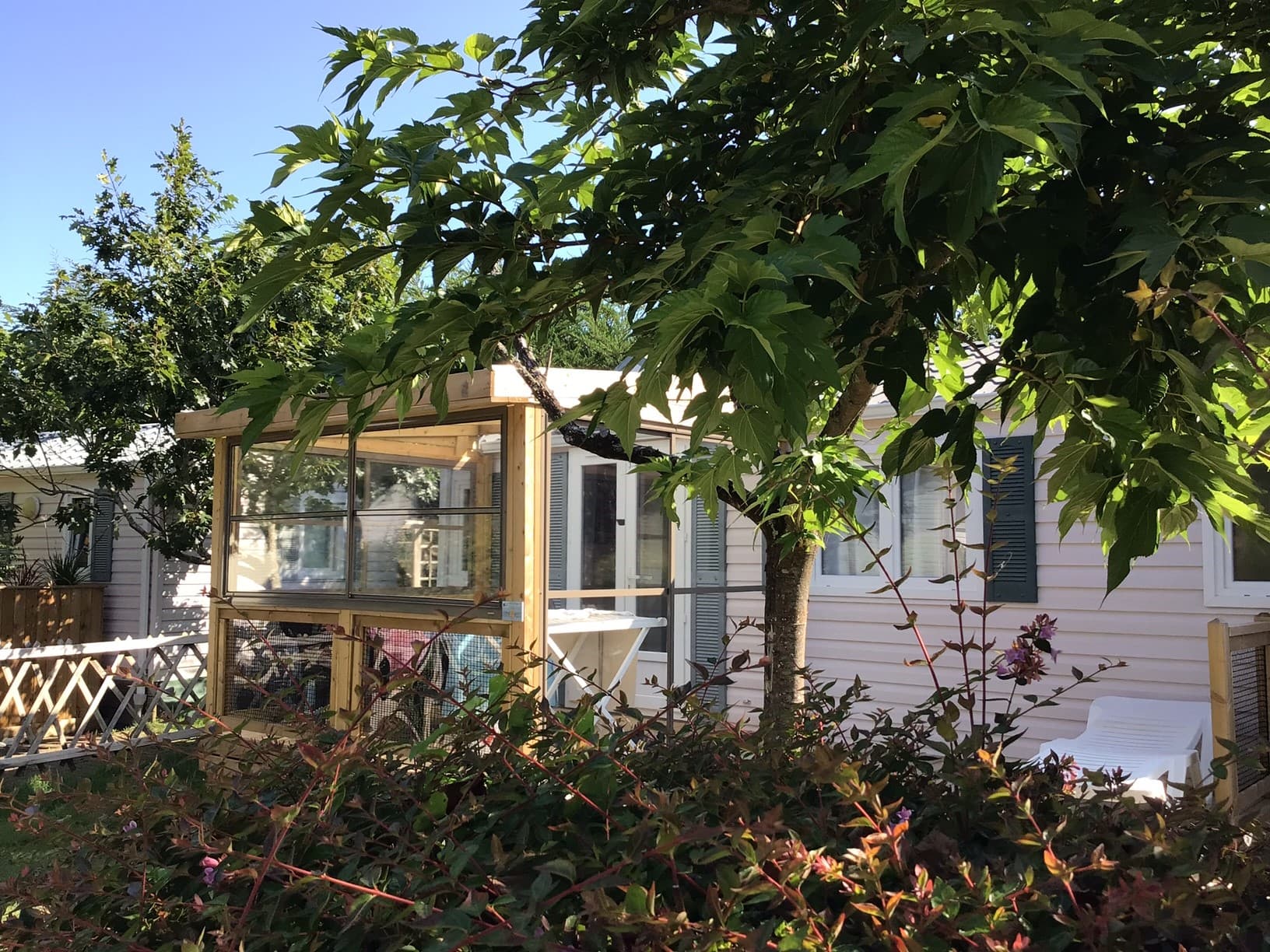 Photo mobil homme confort salle à manger