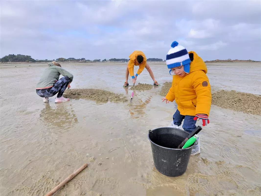 Pêche à pied Morbihan